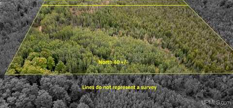 TBD Off River Road North 40, Perronville, MI 49873