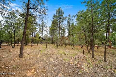 3331 W Tobasa Lane, Show Low, AZ 85901