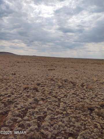 30 N 3528, Concho, AZ 85924