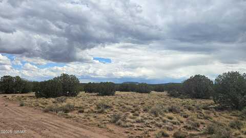 4365 Mountain View Road, Snowflake, AZ 85937
