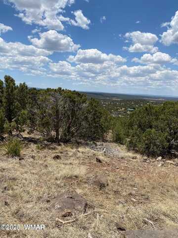 Lot 384 Show Low Pines Unit 10, Concho, AZ 85924