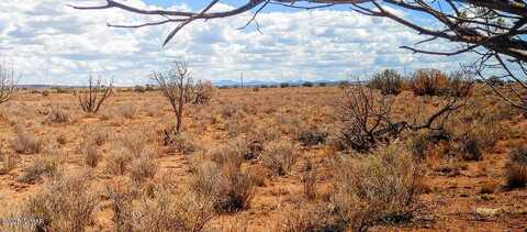 006s Willis Ranch Ln, Snowflake, AZ 85937