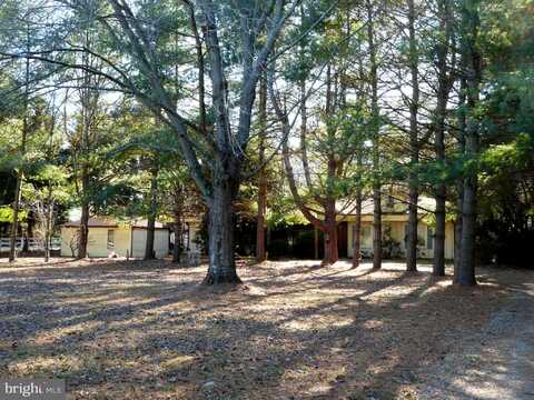 Vandyke Greenspring, SMYRNA, DE 19977