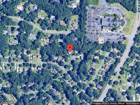 Nandina, ACWORTH, GA 30102