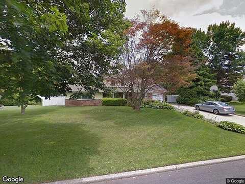 Coconut, COMMACK, NY 11725