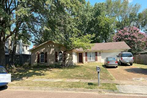 Farnell, BARTLETT, TN 38134