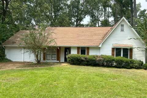 Redbud, BRANDON, MS 39047