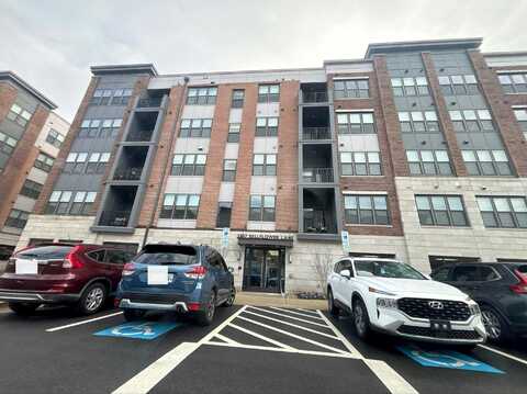Bellflower, ROCKVILLE, MD 20852