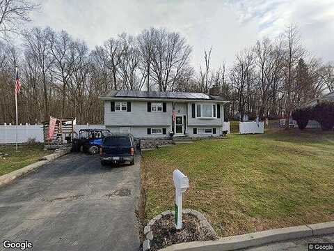 Arthur, CHESTER, NY 10918