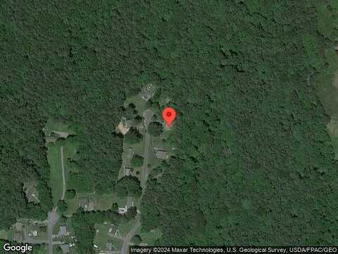 Forest, GRASONVILLE, MD 21638