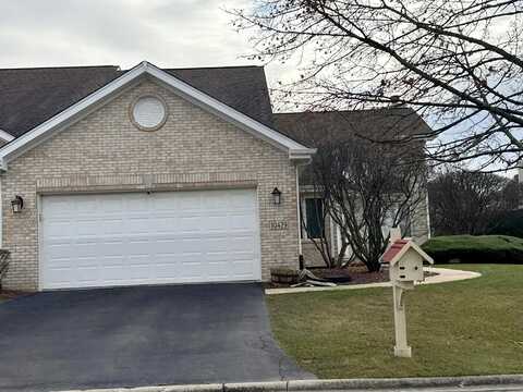Elderberry, ORLAND PARK, IL 60467