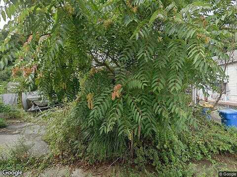 Cordts, KINGSTON, NY 12401