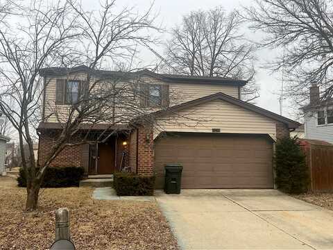 Randi, HOFFMAN ESTATES, IL 60169