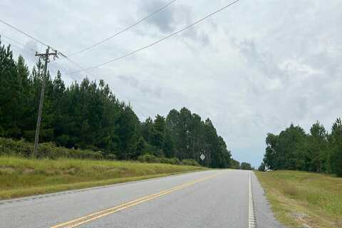 Newington, SYLVANIA, GA 30467