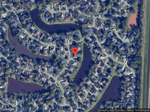 Dahoon, FLEMING ISLAND, FL 32003