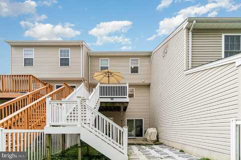 Blossom, HANOVER, PA 17331