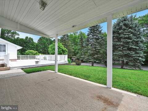 Arlene, MINERSVILLE, PA 17954