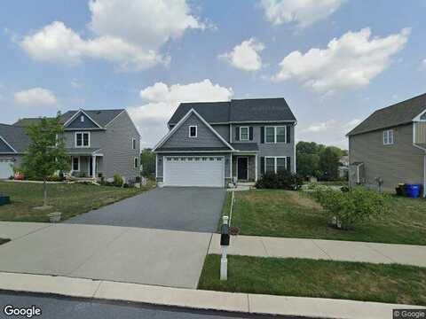 Verbena, LANCASTER, PA 17602