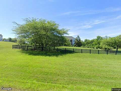 Mica, LOVETTSVILLE, VA 20180