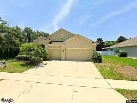 Plumadore, GRAND ISLAND, FL 32735