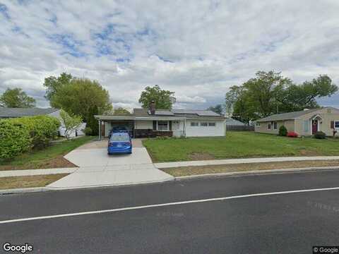 Elderberry, LEVITTOWN, PA 19054