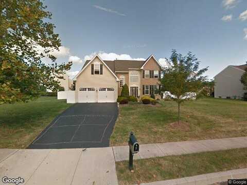 Gray Fox, CHALFONT, PA 18914