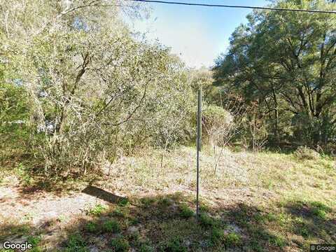 Orange, DADE CITY, FL 33525