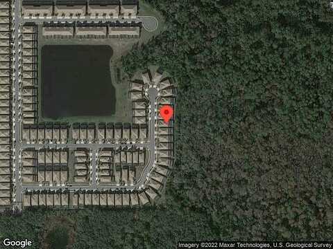 Bengal, KISSIMMEE, FL 34747