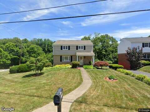 Fiddleback, MC KEES ROCKS, PA 15136