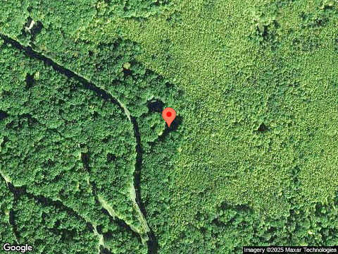 Paper Birch, TAFTON, PA 18464