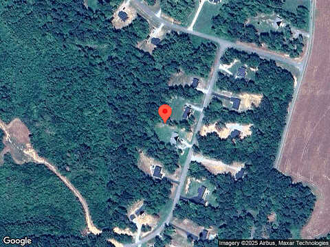 Silver Maple, JETERSVILLE, VA 23083