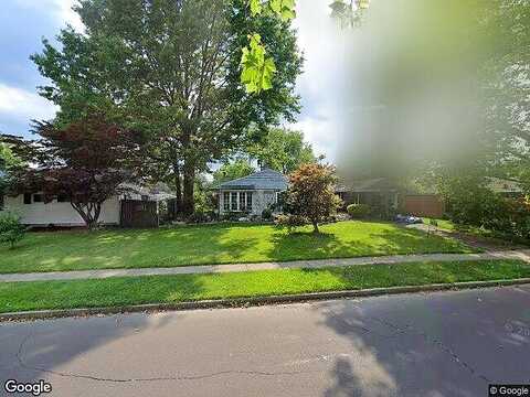 Elderberry, LEVITTOWN, PA 19054
