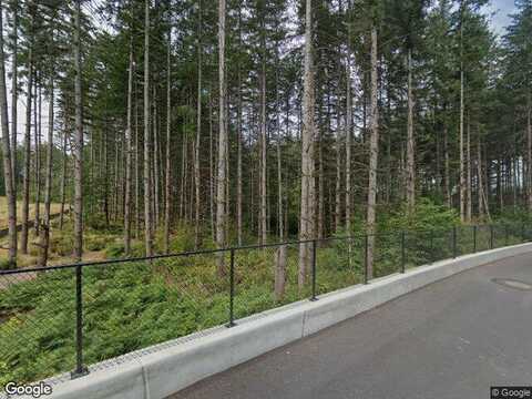 33704 206 Basswood Ave Se, Black Diamond, WA 98010