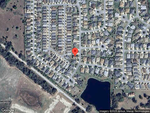 Cosmos, THE VILLAGES, FL 32163