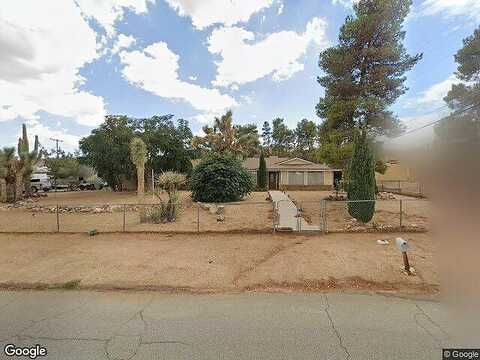 Desert Gold, YUCCA VALLEY, CA 92284