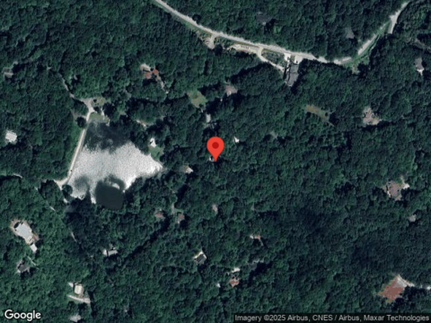 Wild Azalea, DILLARD, GA 30537