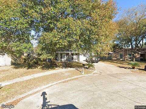 Sky Hawk, HOUSTON, TX 77064