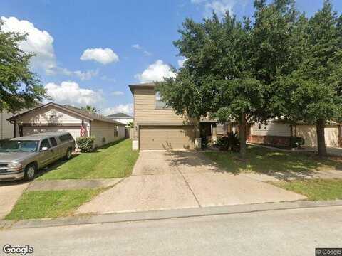 Flying Geese, TOMBALL, TX 77375