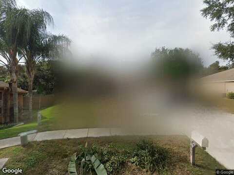 River Overlook, VALRICO, FL 33596