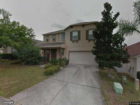Aster, DAVENPORT, FL 33897
