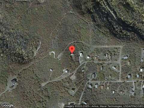 Black Bear, COLLBRAN, CO 81624