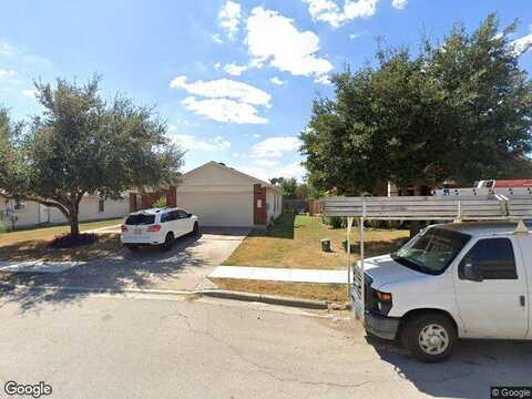Sago Palm, ELGIN, TX 78621
