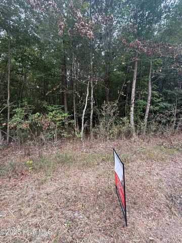 2 Tuggie Eure Road, Eure, NC 27935