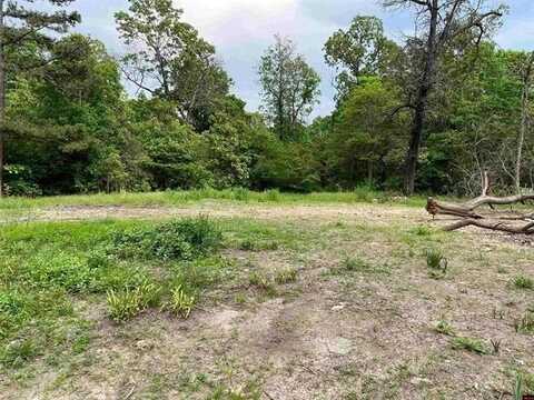 1158 Brushy Fork RD, Yellville, AR 72687