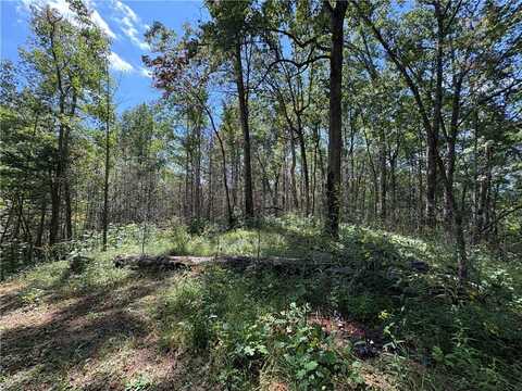 Tract Q The Bear Boulevard, Tamassee, SC 29686