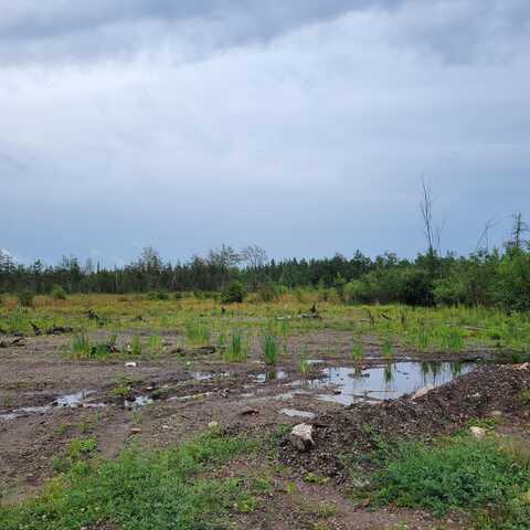 V/L 40AC Hamilton Road, Alpena, MI 49707