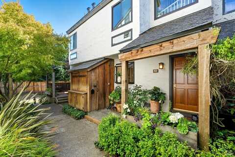 42 Park Terrace, Mill Valley, CA 94941