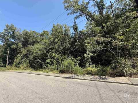 0 Martin Luther King Drive, Brewton, AL 36426