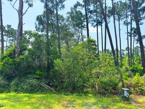 308 Sea Haven Drive, Port Saint Joe, FL 32456