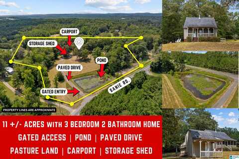 1695 SANIE ROAD, ODENVILLE, AL 35120